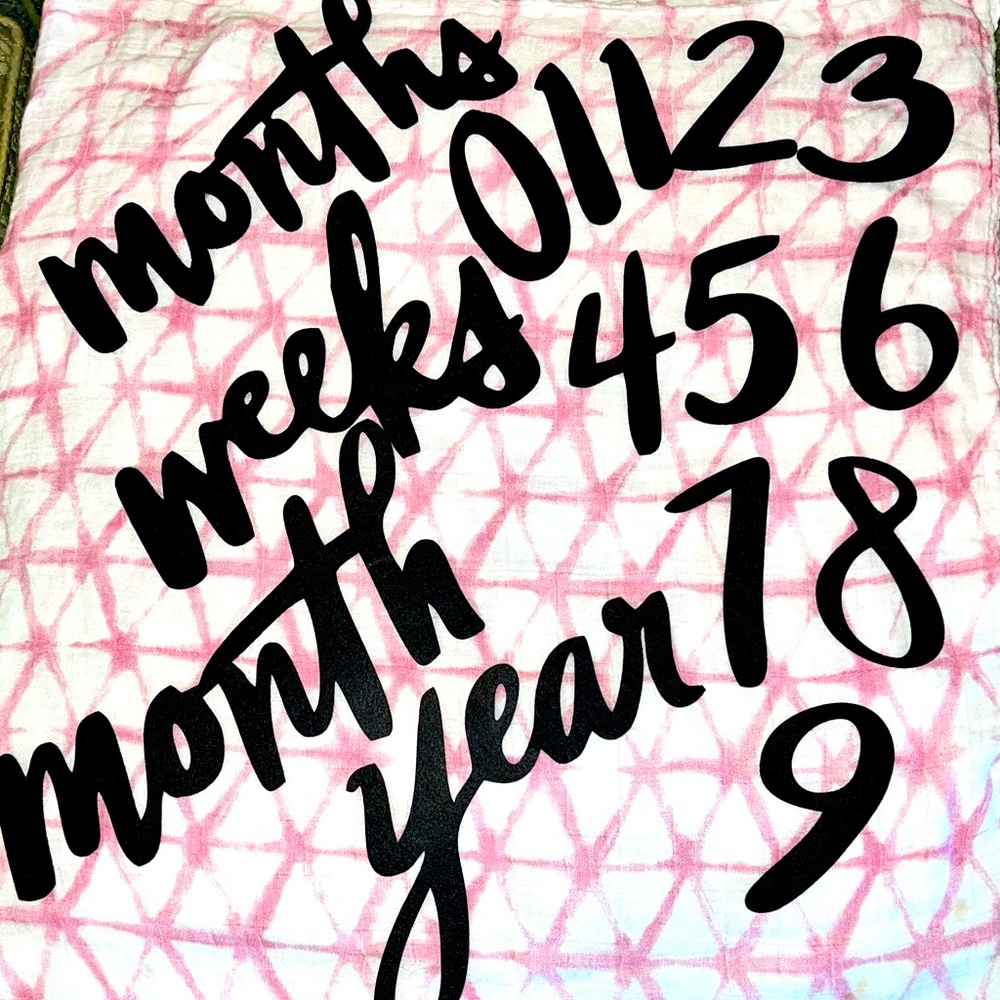 Baby Milestone numbers NWOT